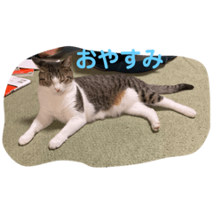 [LINEスタンプ] ニマ