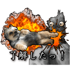 [LINEスタンプ] あんずの陶犬瓦鶏スタンプ