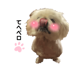 [LINEスタンプ] 飼われているボク〜Rikimaru〜