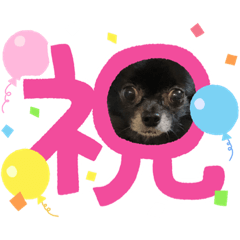 [LINEスタンプ] くぅさんだらけのスタンプ