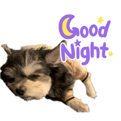 [LINEスタンプ] エルモはわんぱくん