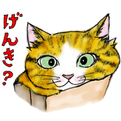 [LINEスタンプ] nekotenにゃんこ 2