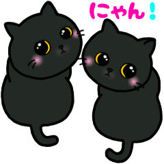 [LINEスタンプ] くろねこちゃん♡毎日使える♪