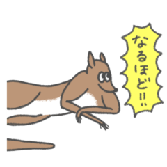 [LINEスタンプ] カンガルーのルーちゃんの便利なスタンプの画像（メイン）