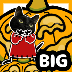 [LINEスタンプ] 黒猫さんビッグスタンプ