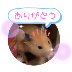 [LINEスタンプ] ぷん5