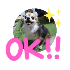 [LINEスタンプ] 愛犬たっぴー★第2弾
