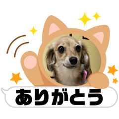 [LINEスタンプ] くるりんくるみちゃん 2