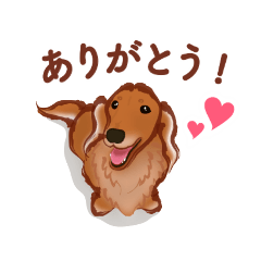 [LINEスタンプ] ミニチュアダックス♂の日常スタンプ