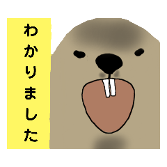 [LINEスタンプ] どあっぷマーモット 丁寧語