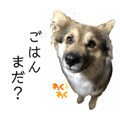 [LINEスタンプ] はちみつの挨拶