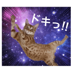[LINEスタンプ] ホープとポポ日常スタンプ