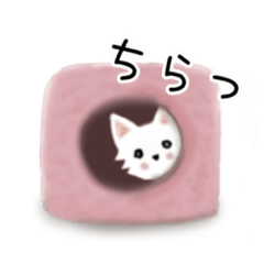 [LINEスタンプ] チワワの喜怒哀楽☆