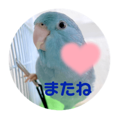 [LINEスタンプ] マメルリハのリル15