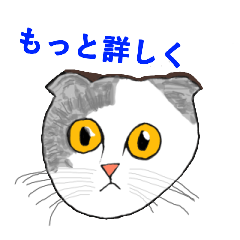 [LINEスタンプ] 日常で使用する猫ちゃんスタンプ