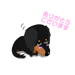 [LINEスタンプ] ミニチュアダックスのキラくん【敬語】