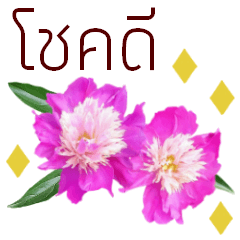 [LINEスタンプ] タイ語で花の動くスタンプの画像（メイン）