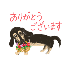 [LINEスタンプ] イヌ好きさんのカラフルスタンプ