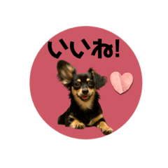 [LINEスタンプ] カラフルルルンプ