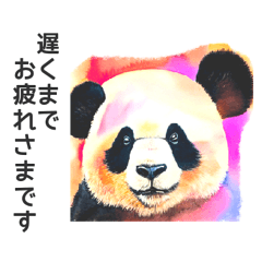 [LINEスタンプ] パンダの水彩画スタンプ 思いやり＆気づかいの画像（メイン）