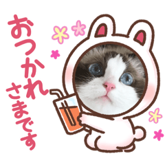 [LINEスタンプ] もここ＆はなな