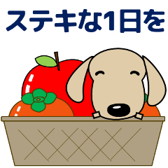 [LINEスタンプ] 大人の優しい気づかい ダックスフンド秋編