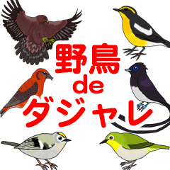 [LINEスタンプ] 野鳥deダジャレ