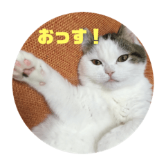 [LINEスタンプ] しなもんさん⑤