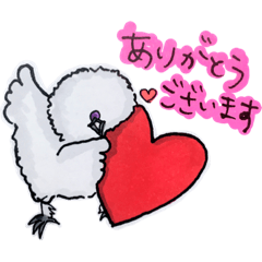 [LINEスタンプ] 可愛いコケコ(烏骨鶏)