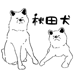 [LINEスタンプ] 白色秋田犬の日常スタンプ