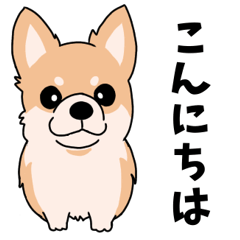 [LINEスタンプ] チワワのスタンプ モカ色