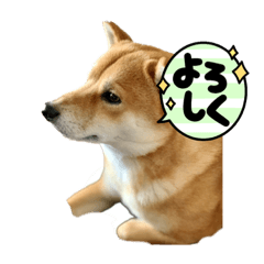 [LINEスタンプ] 小鉄のスタンプ2022