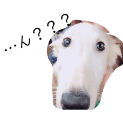 [LINEスタンプ] 可愛いペットたち