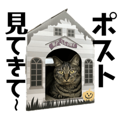 [LINEスタンプ] キジ猫ミミちゃん平和連合