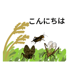 [LINEスタンプ] 秋の虫たちのスタンプ