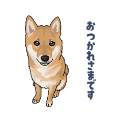 [LINEスタンプ] わんちゃん大集合3