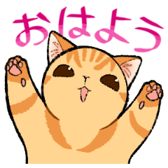 [LINEスタンプ] 猫たちのあいさつスタンプ