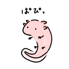 [LINEスタンプ] ウーパールーパーぱぴちゃん脱力スタンプ