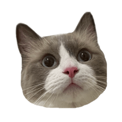 [LINEスタンプ] おいら、るこ！