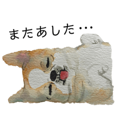 [LINEスタンプ] かもめのわんこスタンプ チワワ