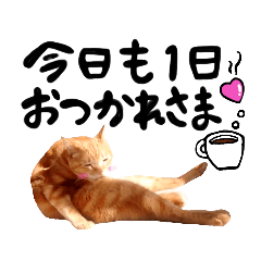 [LINEスタンプ] hknの日常2(文字あり)