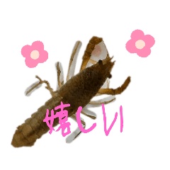 [LINEスタンプ] オルタロス様の冒険