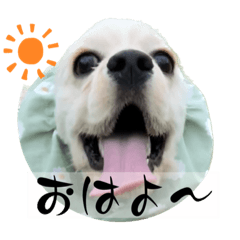[LINEスタンプ] コッカースパニエル大好き7