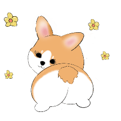 [LINEスタンプ] かわいいコーギー犬 v.1