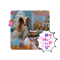 [LINEスタンプ] ぱぴぱぴパピヨン94