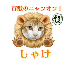 [LINEスタンプ] しゃけ 壱