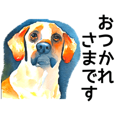 [LINEスタンプ] 犬の水彩スタンプ 基本スタンプの画像（メイン）
