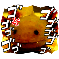 [LINEスタンプ] myウーパールーパー